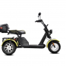 Электротрицикл SIBERTON PRO TRIKE 3000w