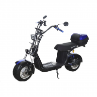 Электроскутер Skyboard Ural BR30-2WD 4000W